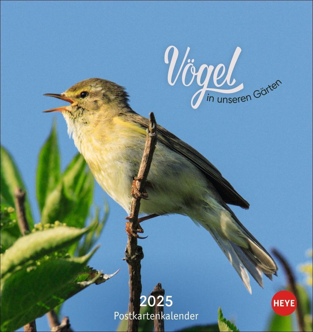 Cover: 9783756407125 | Vögel in unseren Gärten Postkartenkalender 2025 | Heye | Kalender