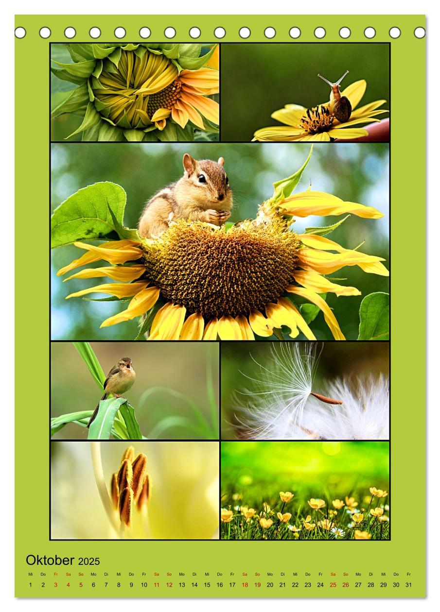 Bild: 9783435905003 | Farbsymphonien der Natur (Tischkalender 2025 DIN A5 hoch), CALVENDO...