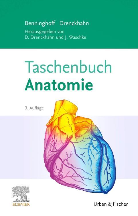 Cover: 9783437423031 | Taschenbuch Anatomie | Detlev Drenckhahn (u. a.) | Taschenbuch | 2020