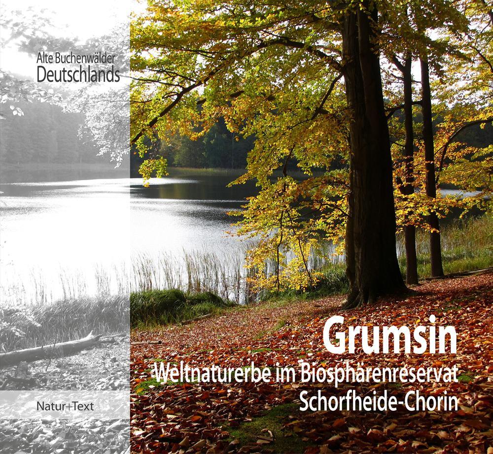 Cover: 9783942062206 | Grumsin | Weltnaturuerbe im Biosphärenreservat Schorfheide-Chorin