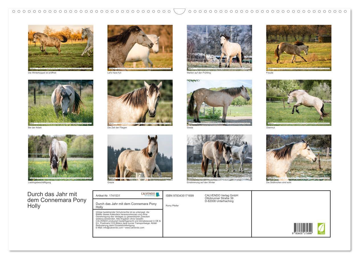 Bild: 9783435171699 | Durch das Jahr mit dem Connemara Pony Holly (Wandkalender 2025 DIN...