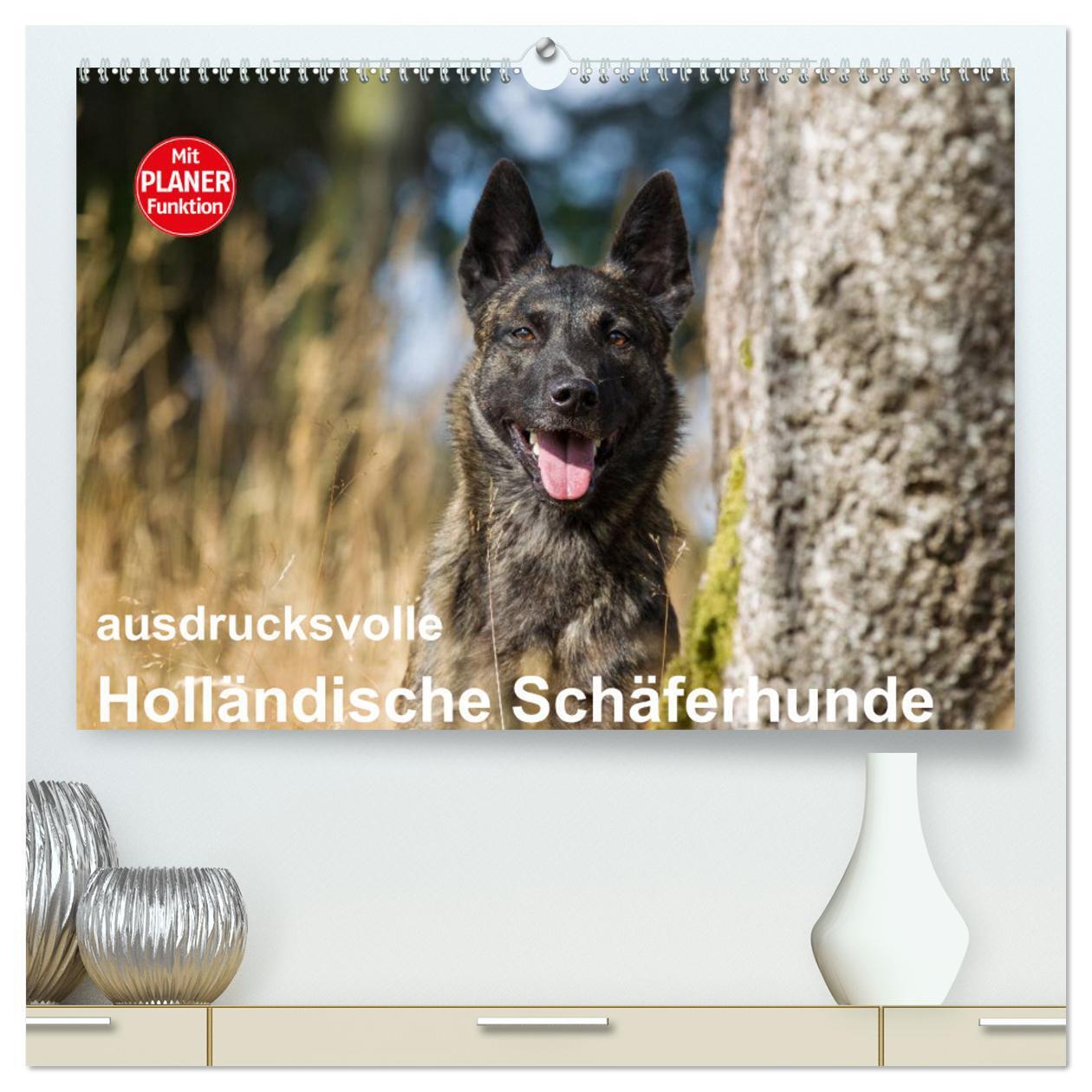 Cover: 9783383320903 | ausdrucksvolle Holländische Schäferhunde (hochwertiger Premium...