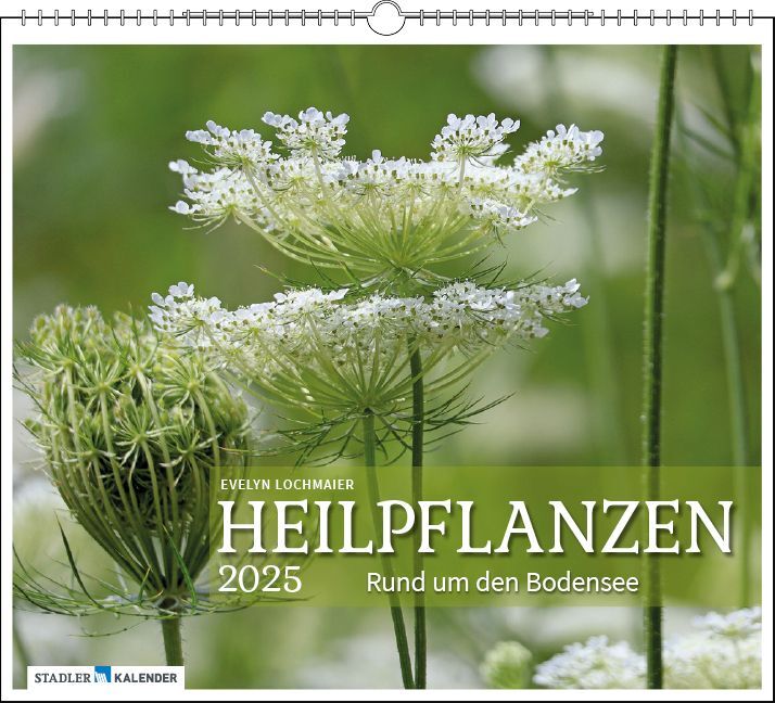 Cover: 9783861924302 | Heilpflanzen rund um den Bodensee 2025 | Evelyn Lochmaier | Kalender