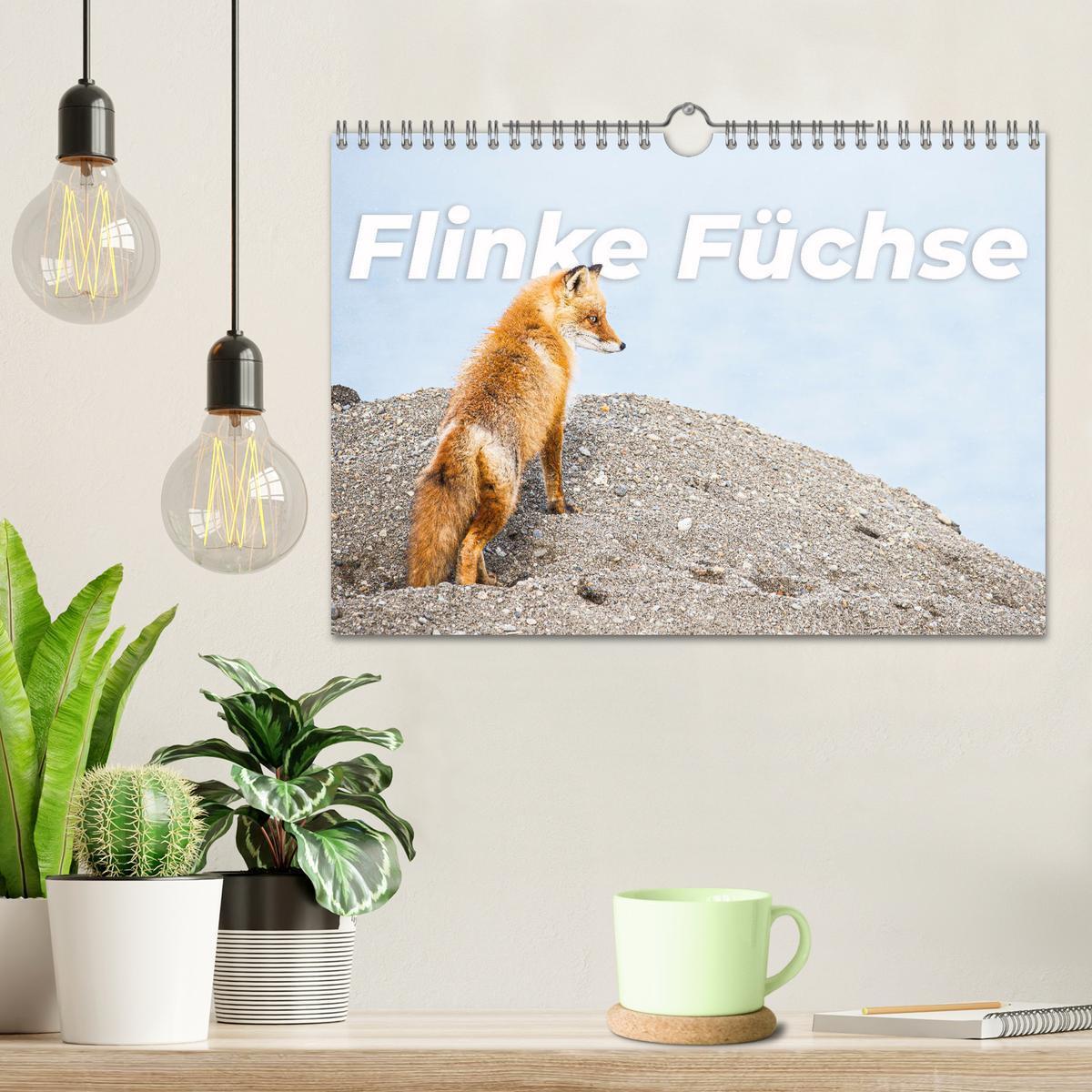 Bild: 9783435068890 | Flinke Füchse (Wandkalender 2025 DIN A4 quer), CALVENDO Monatskalender