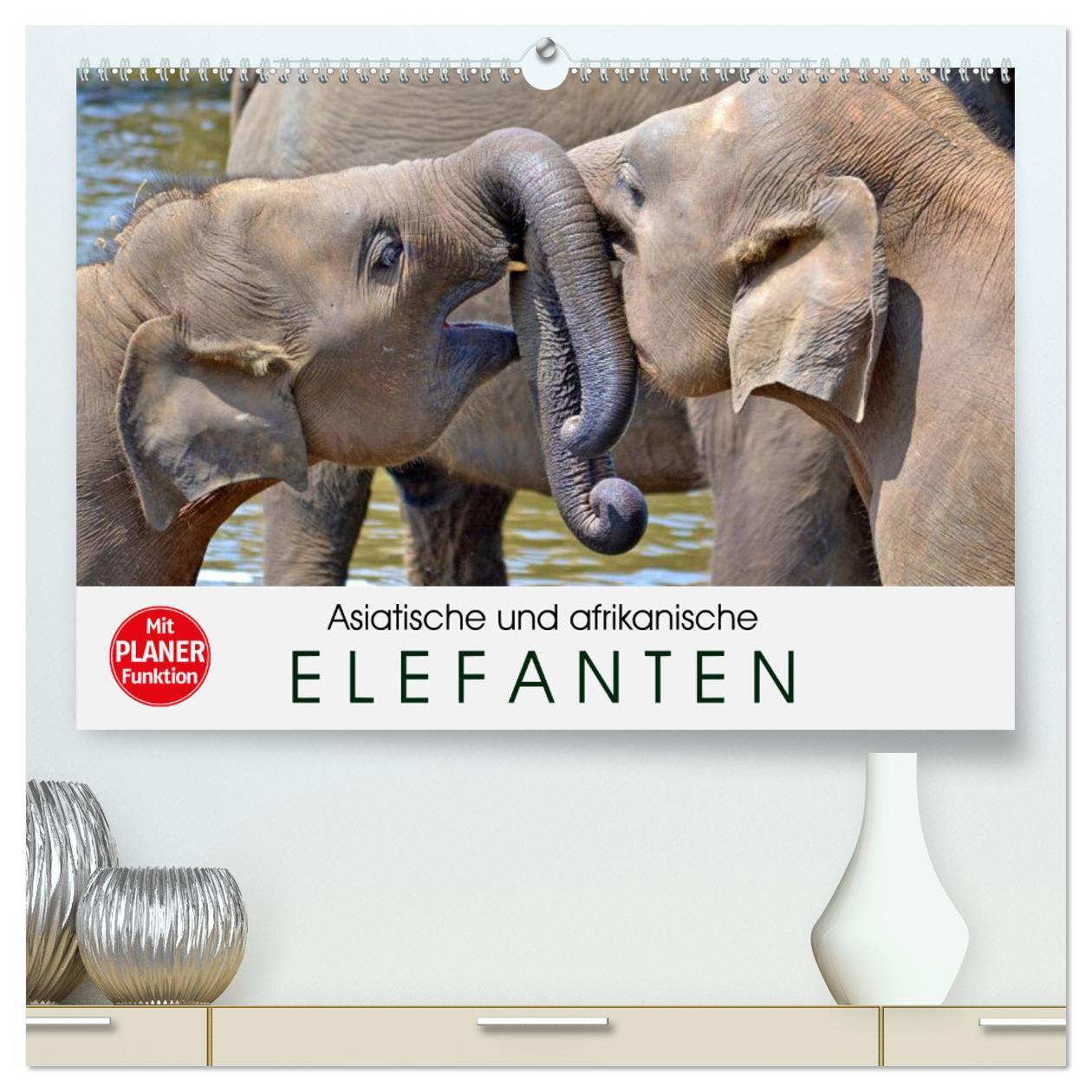 Cover: 9783383265150 | Asiatische und afrikanische Elefanten (hochwertiger Premium...