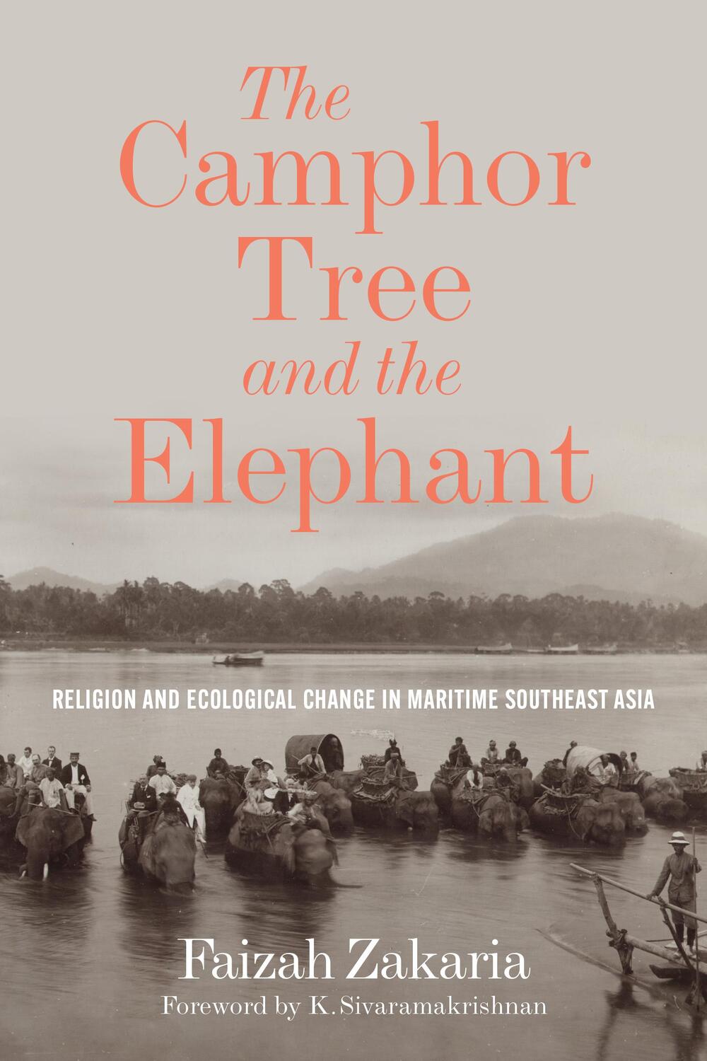 Cover: 9780295751184 | The Camphor Tree and the Elephant | Faizah Zakaria | Taschenbuch