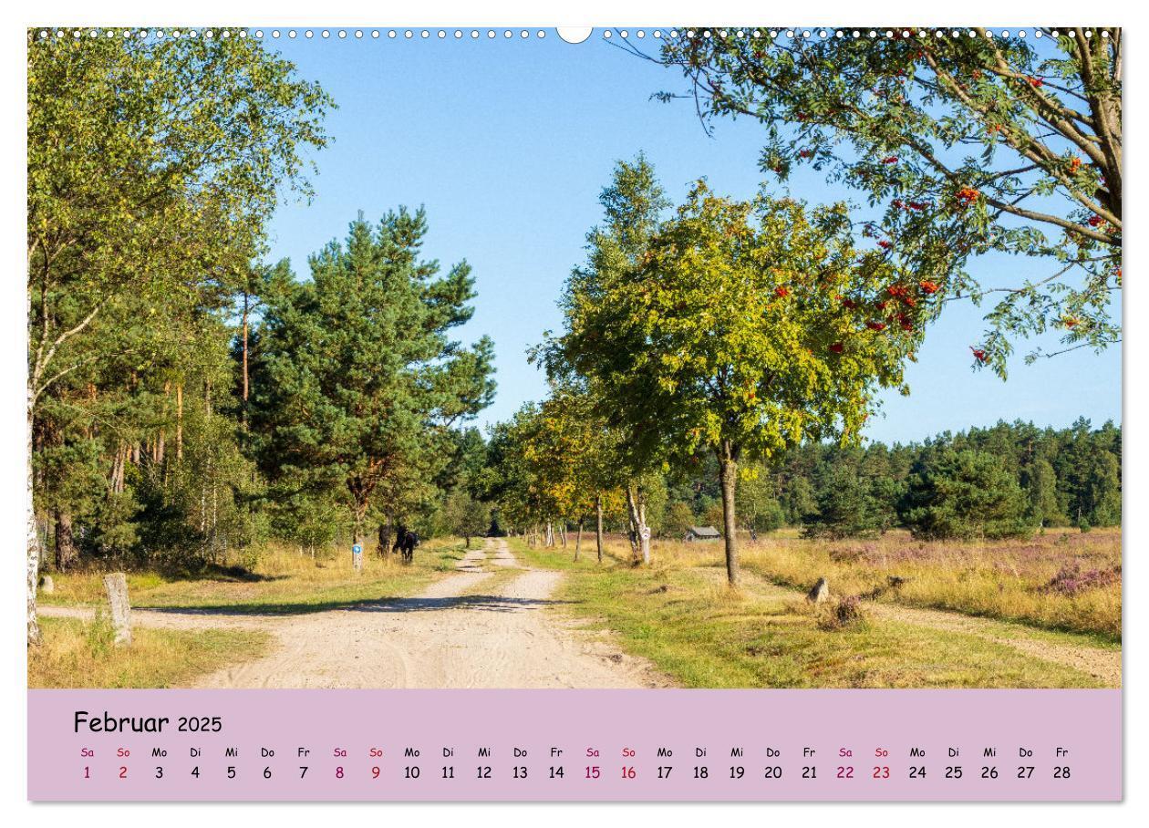 Bild: 9783435029747 | Lüneburger Heide Wege (Wandkalender 2025 DIN A2 quer), CALVENDO...