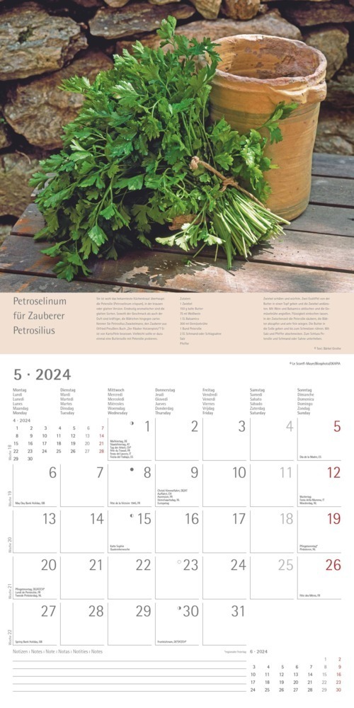 Bild: 4251732335564 | Kräuter &amp; Gewürze 2024 - Broschürenkalender 30x30 cm (30x60...