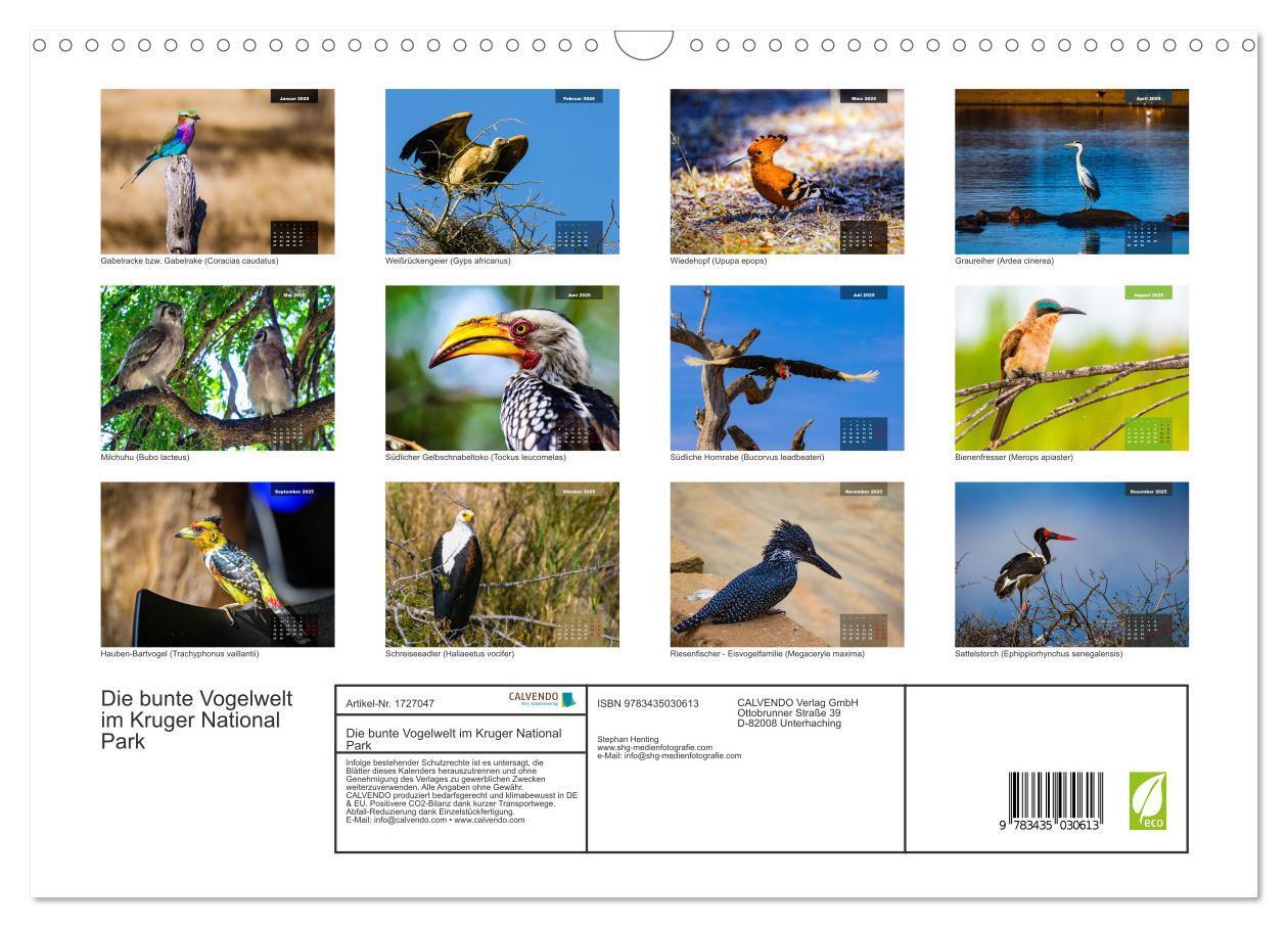 Bild: 9783435030613 | Die bunte Vogelwelt im Kruger National Park (Wandkalender 2025 DIN...