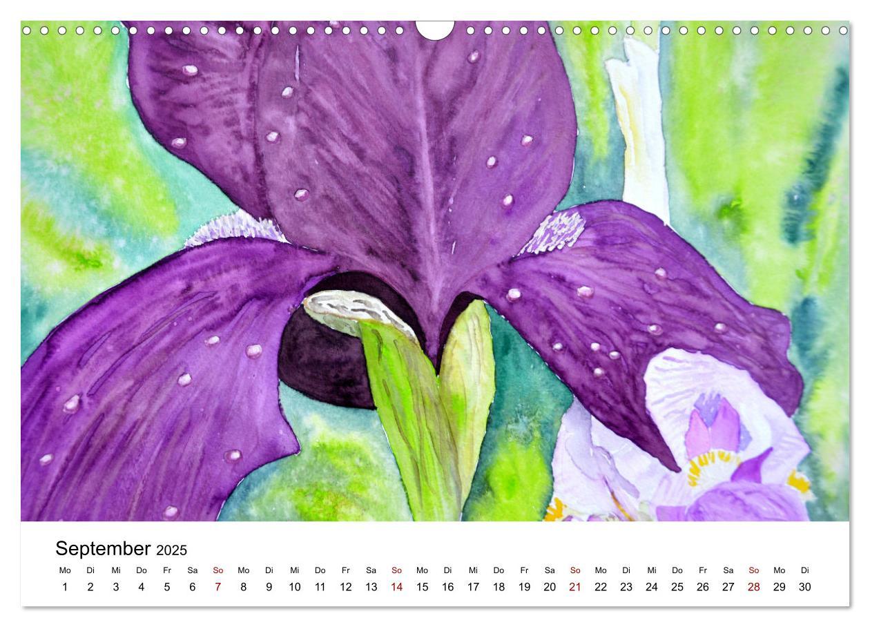 Bild: 9783383807473 | Blumen-Aquarelle (Wandkalender 2025 DIN A3 quer), CALVENDO...