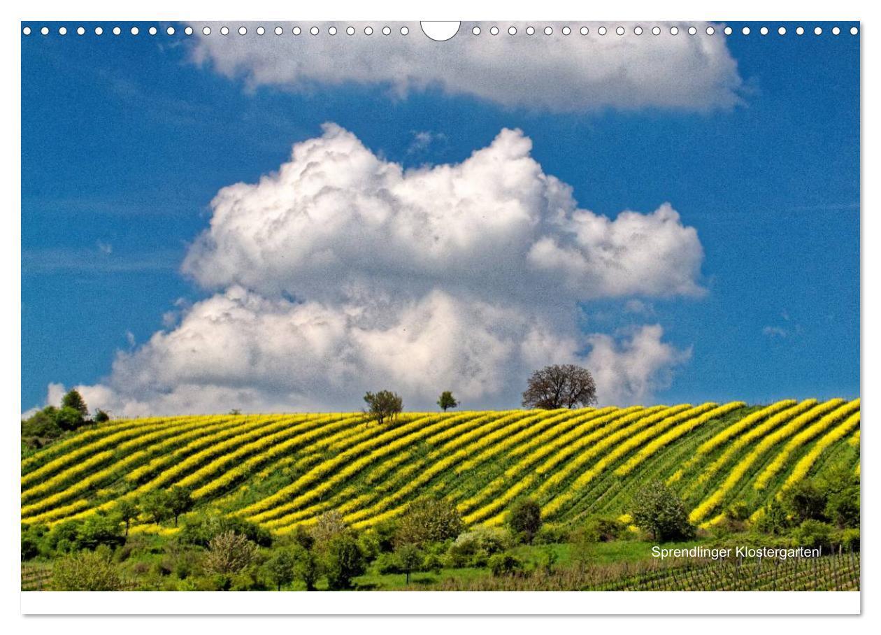 Bild: 9783435503674 | Himmel über Rheinhessen (Wandkalender 2025 DIN A3 quer), CALVENDO...