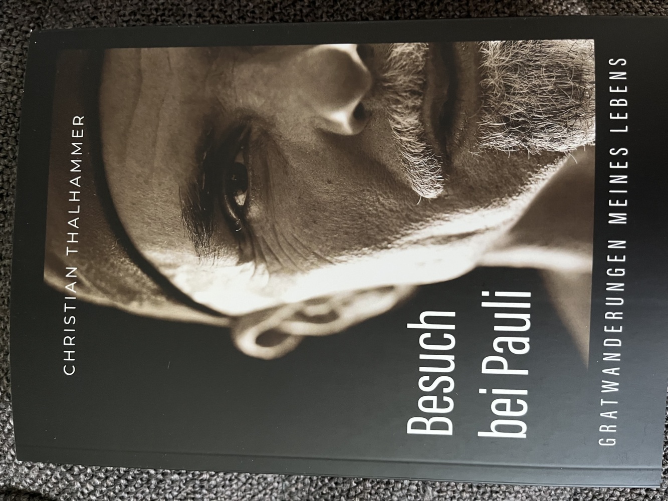 Cover: 9783903250758 | Besuch bei Pauli | Gratwanderungen meines Lebens | Thalhammer | Buch