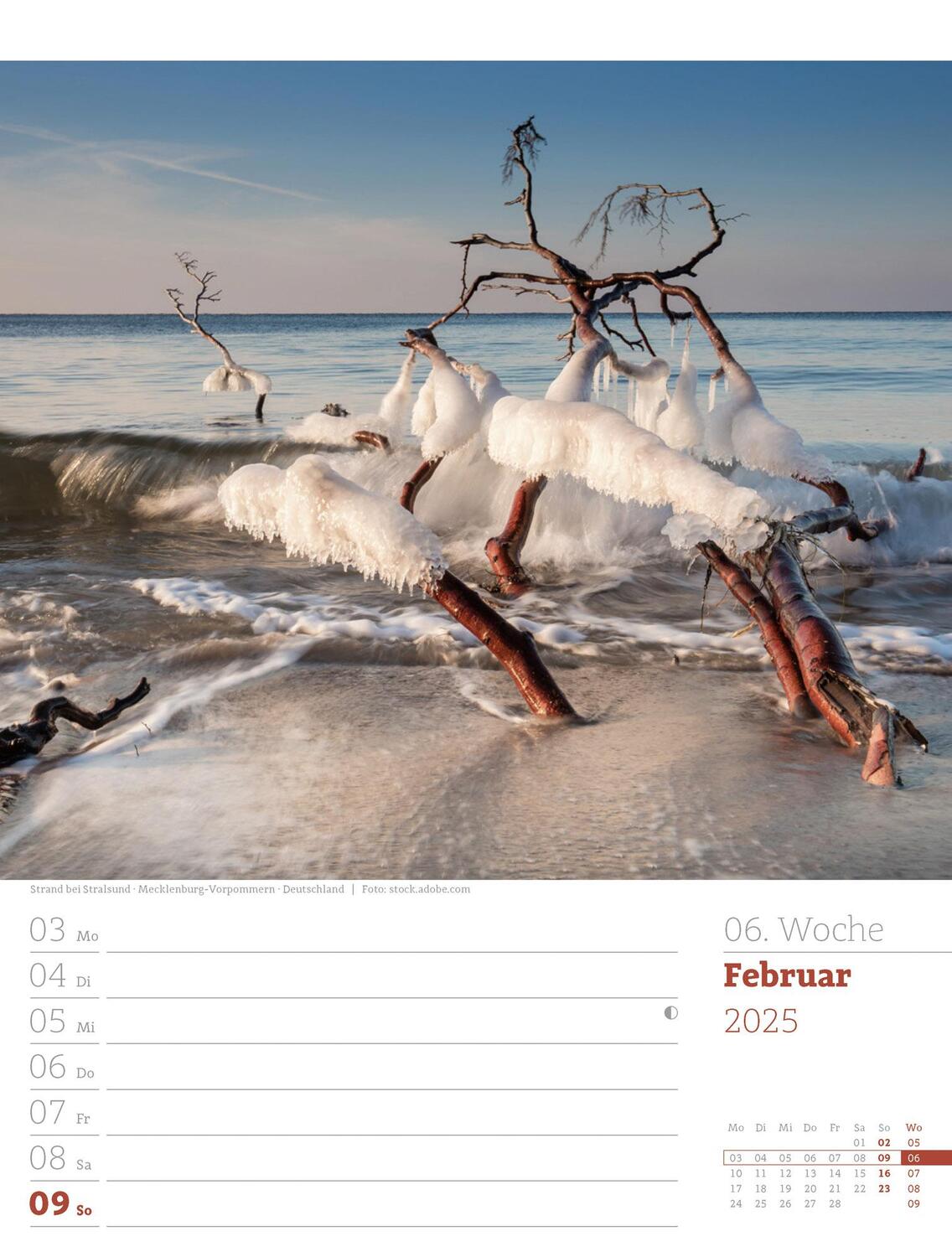 Bild: 9783838435039 | Am Meer - Wochenplaner Kalender 2025 | Ackermann Kunstverlag | 56 S.