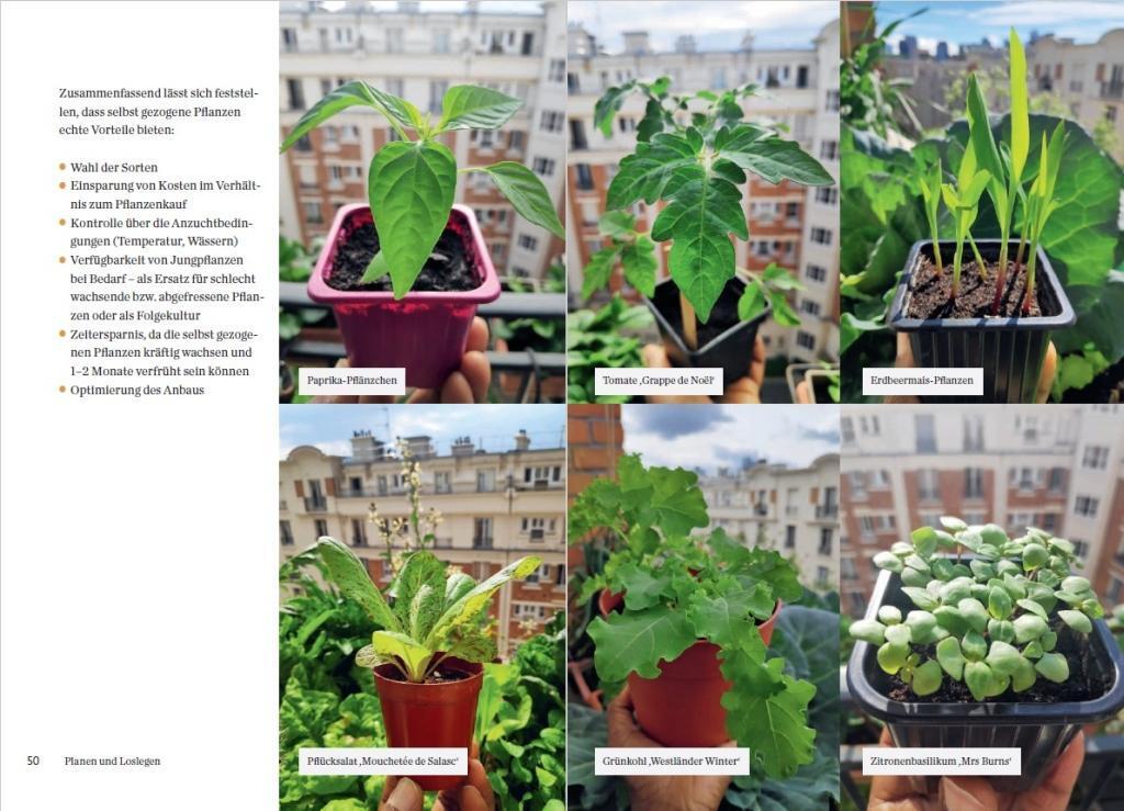 Bild: 9783818615208 | Mein Permakultur-Balkon | Obst und Gemüse ernten auf 4m2 | Tsimba