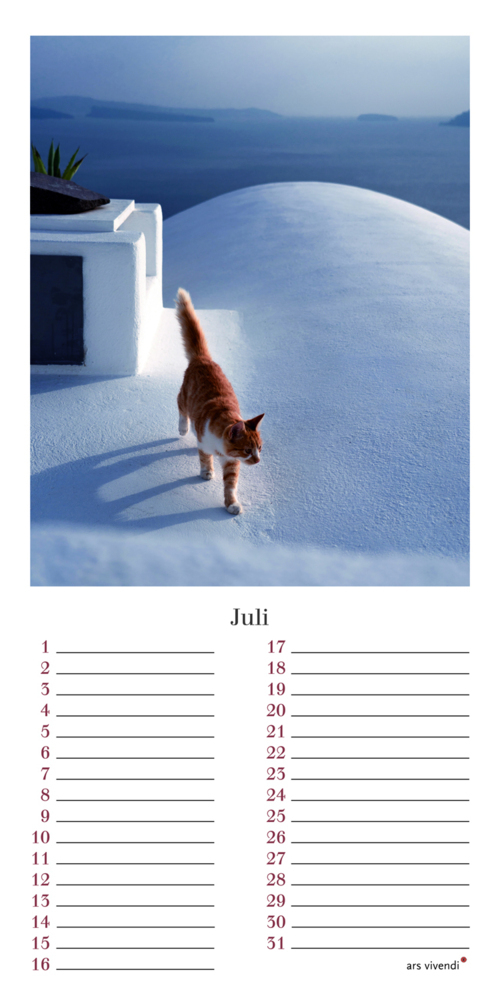 Bild: 9783747203958 | Geburtstagskalender Katzen | Immerwährender Kalender | Verlag | 12 S.