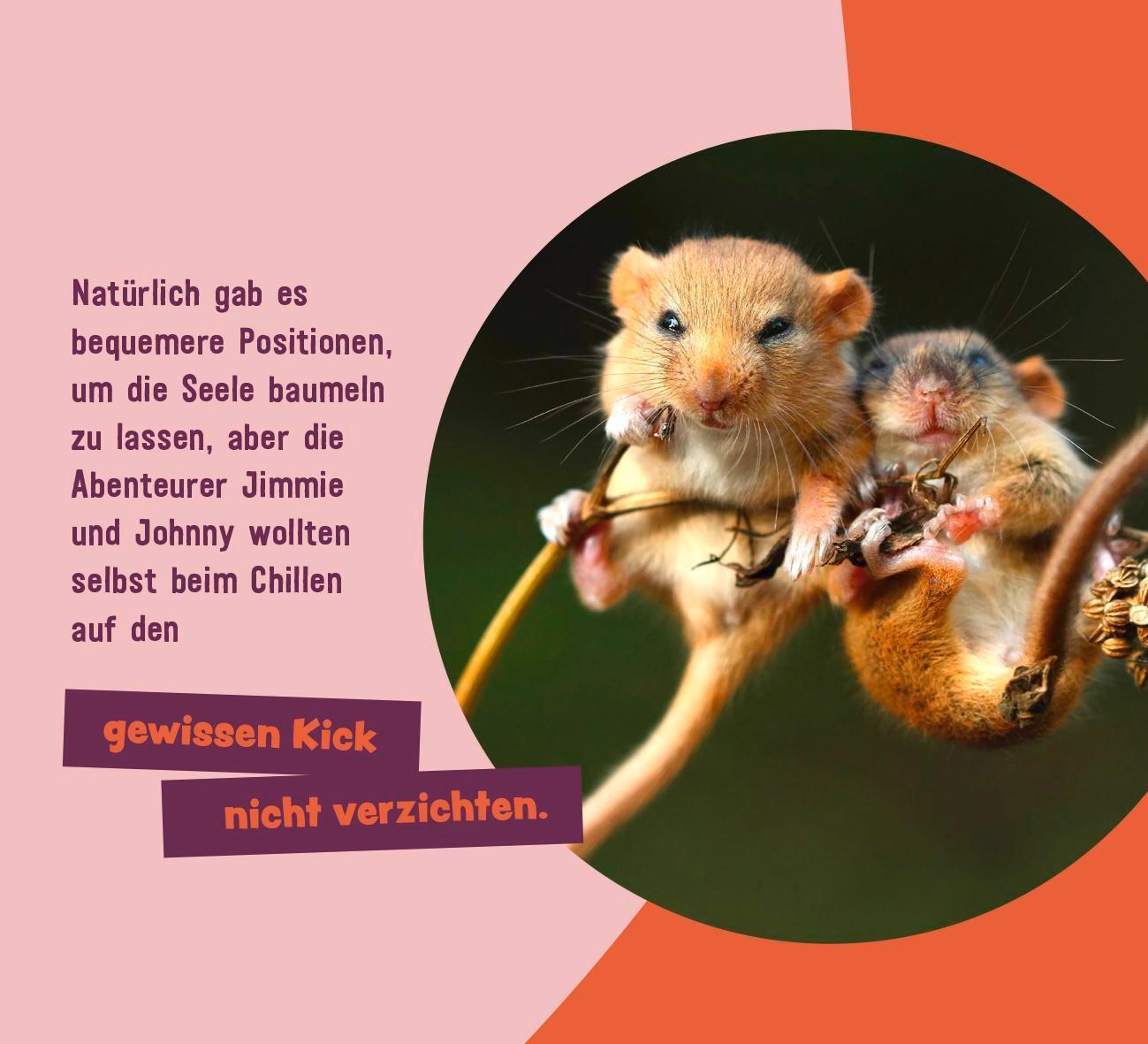 Bild: 9783848502813 | Tierisch gechillt! | Paulus Vennebusch | Taschenbuch | 52 S. | Deutsch