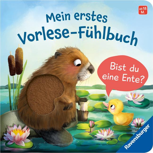 Cover: 9783473418732 | Mein erstes Vorlese-Fühlbuch: Bist du eine Ente? | Kathrin Lena Orso