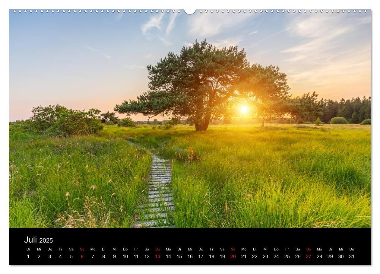 Bild: 9783435557288 | HOHES VENN - Einblicke in ein Hochmoor (Wandkalender 2025 DIN A2...