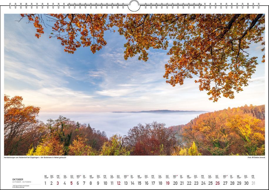 Bild: 9783861924043 | Bodensee Wasser.Berge.Licht. 2025 | Stefan Arendt | Kalender | 13 S.