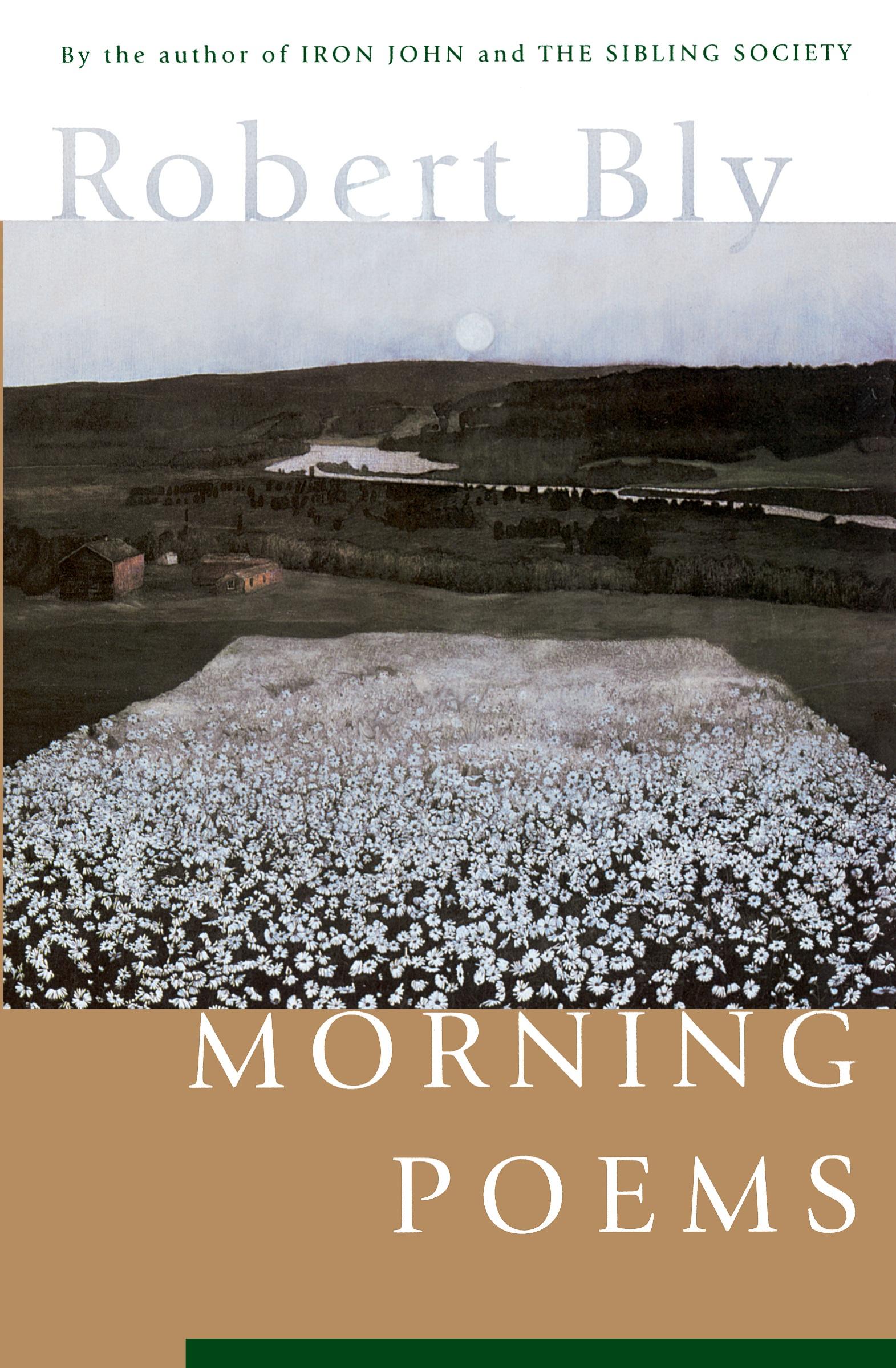 Cover: 9780060928735 | Morning Poems | Robert Bly | Taschenbuch | Englisch | 2019