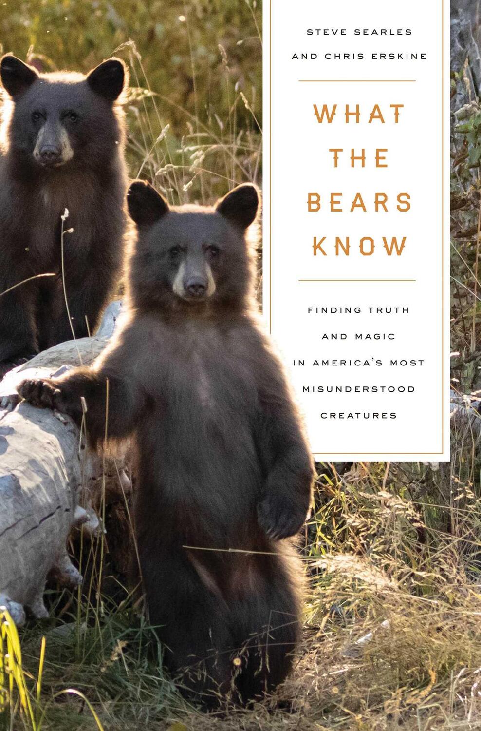 Bild: 9781639365012 | What the Bears Know | Steve Searles (u. a.) | Buch | Englisch | 2023
