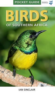 Cover: 9781770077690 | Pocket Guide: Birds of Southern Africa | Ian Sinclair | Taschenbuch