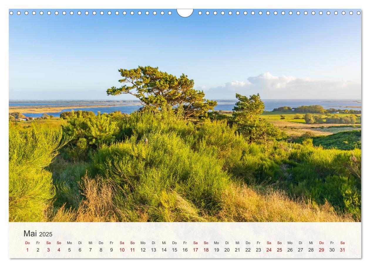 Bild: 9783435000401 | Natürliches Rügen und Hiddensee (Wandkalender 2025 DIN A3 quer),...