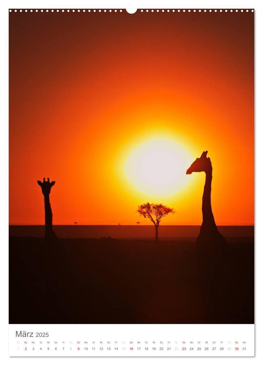 Bild: 9783457068182 | Magie des Augenblicks - Giraffen - Riesen der Savanne (Wandkalender...