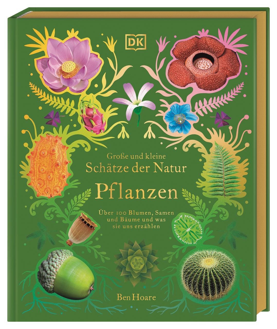 Cover: 9783831046959 | Große und kleine Schätze der Natur. Pflanzen | Ben Hoare | Buch | 2023