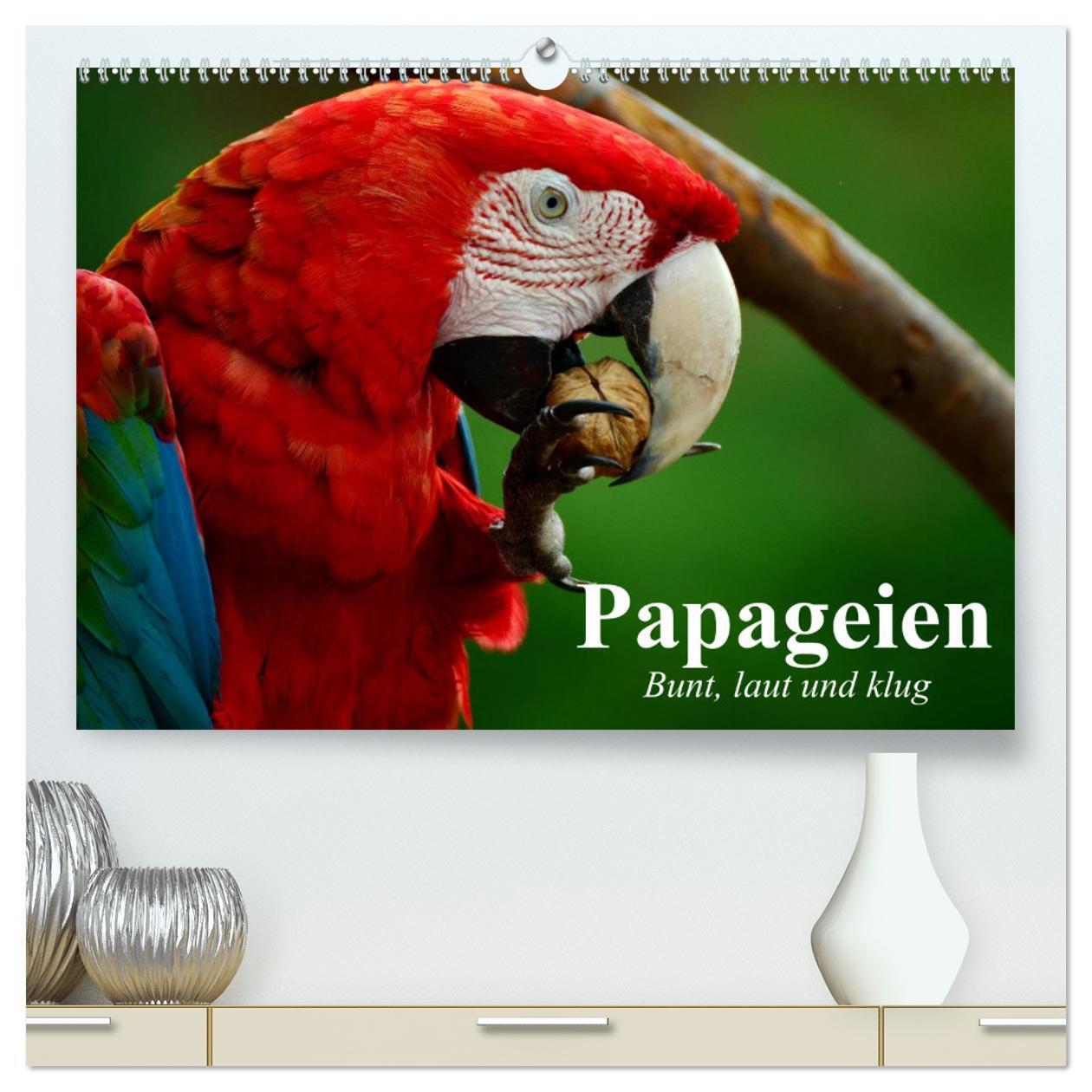 Cover: 9783435715770 | Papageien. Bunt, laut und klug (hochwertiger Premium Wandkalender...