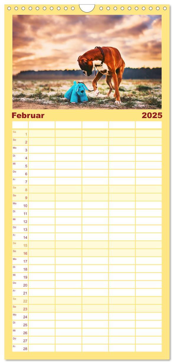 Bild: 9783457111598 | Familienplaner 2025 - Deutscher Boxer mit 5 Spalten (Wandkalender,...