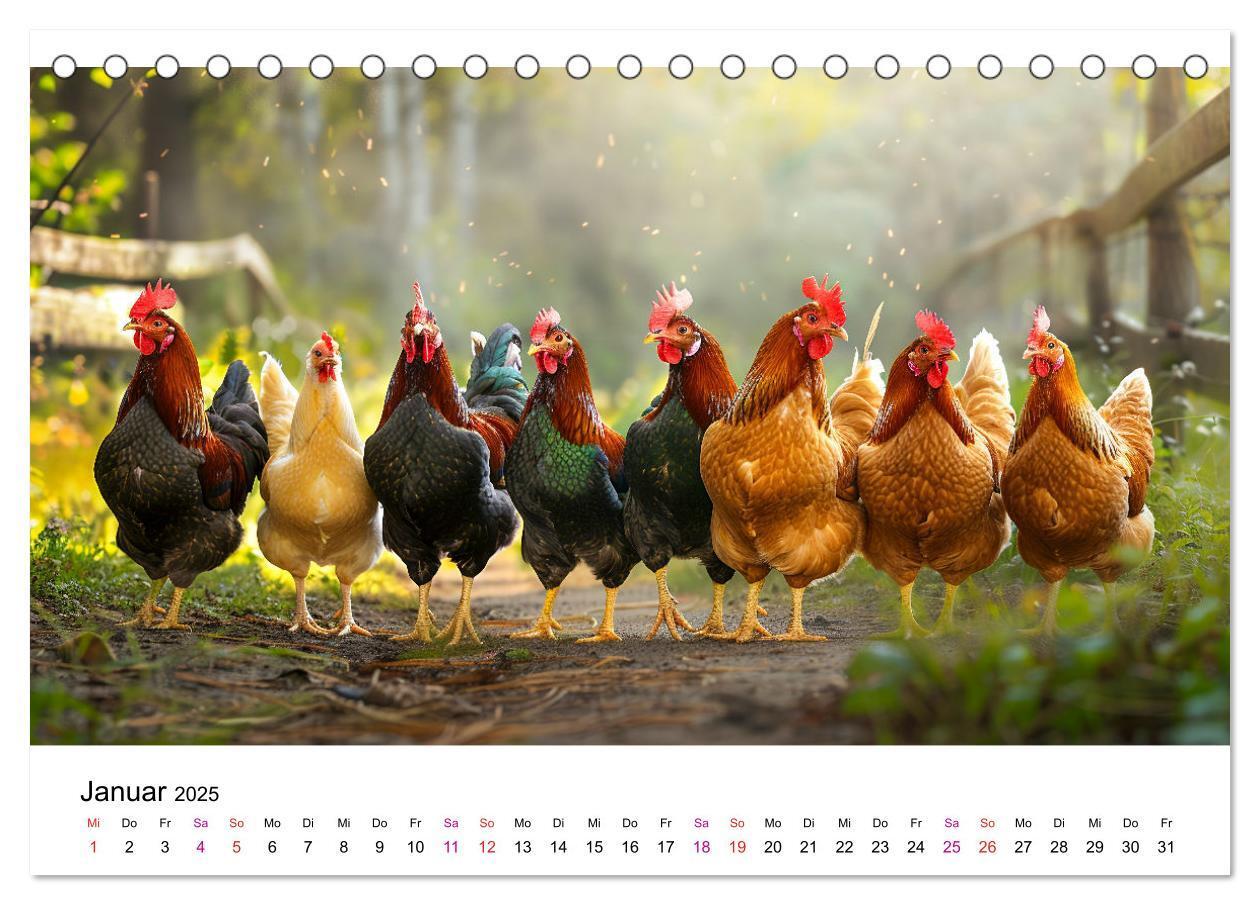 Bild: 9783457174951 | Hühner Federvieh (Tischkalender 2025 DIN A5 quer), CALVENDO...