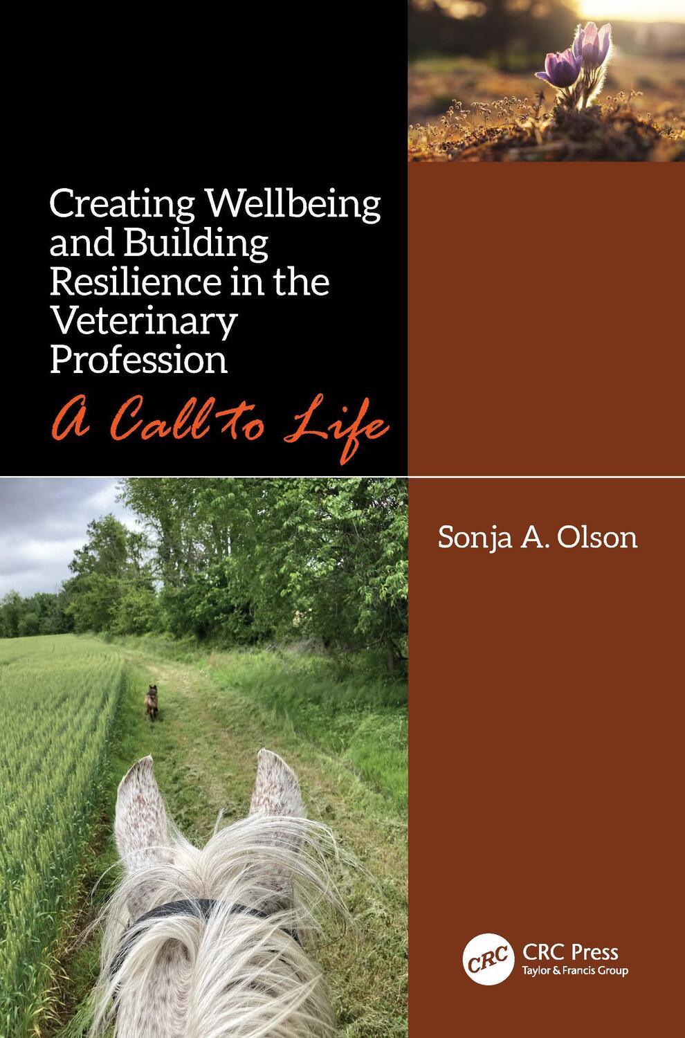 Cover: 9780367418793 | Creating Wellbeing and Building Resilience in the Veterinary...