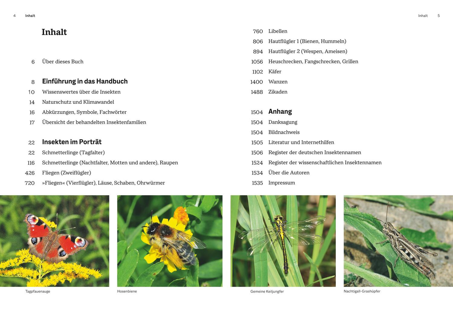 Bild: 9783967470482 | Das große BLV Handbuch Insekten | Marina Gerhardt (u. a.) | Buch | BLV