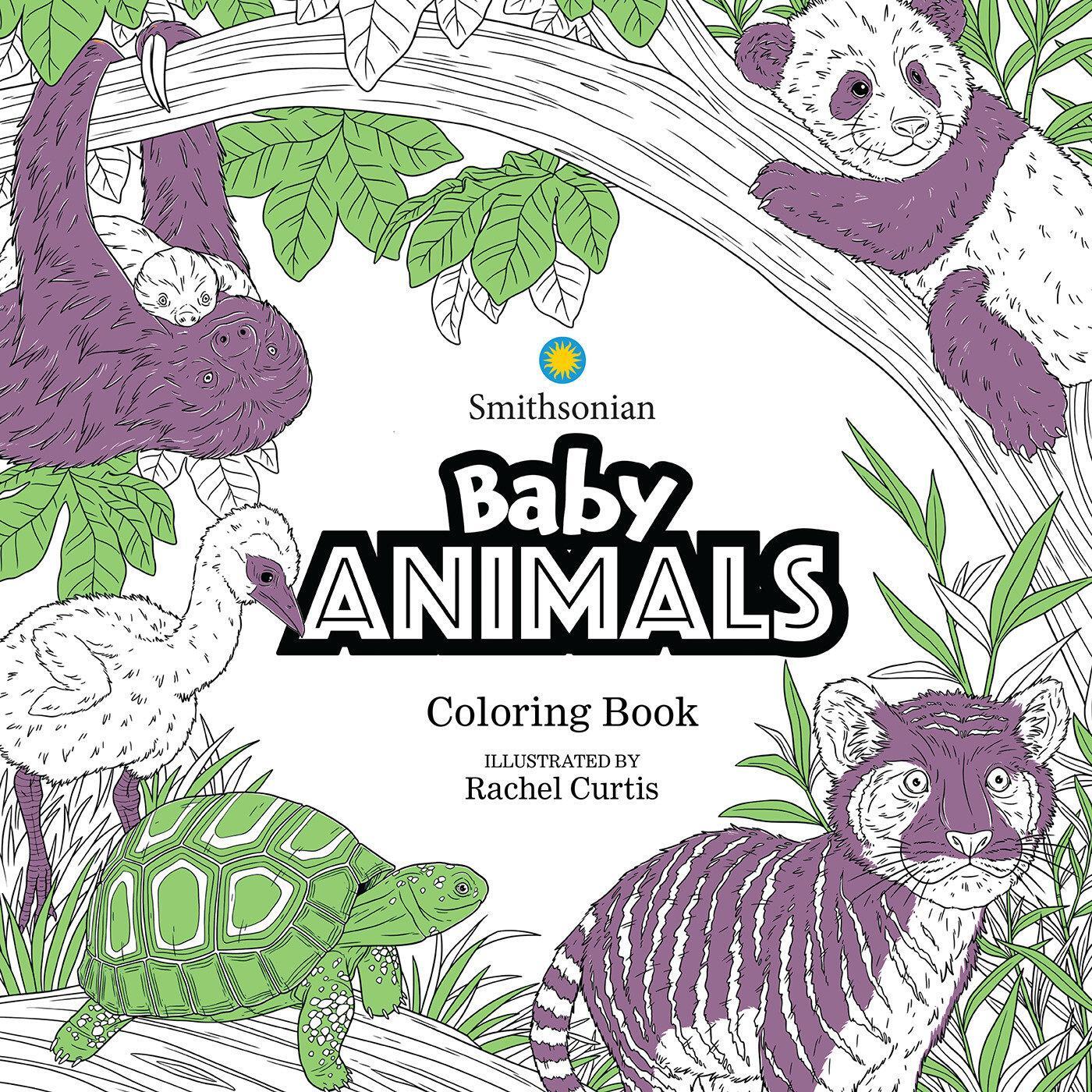 Cover: 9781684059546 | Baby Animals: A Smithsonian Coloring Book | Smithsonian Institution