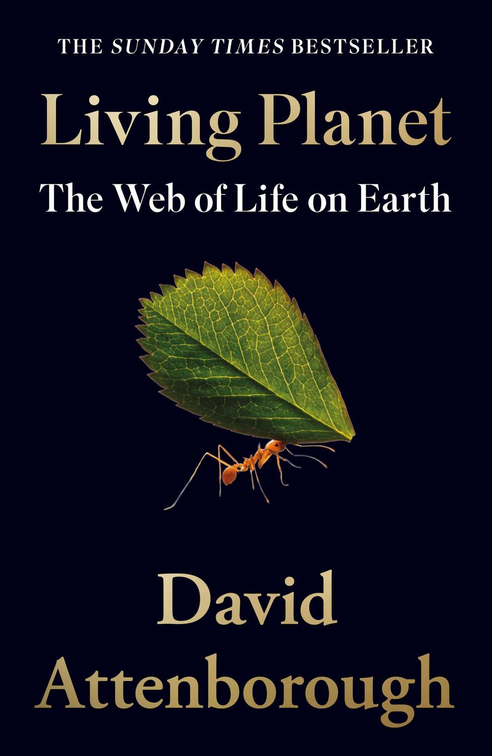 Cover: 9780008477868 | Living Planet | The Web of Life on Earth | David Attenborough | Buch