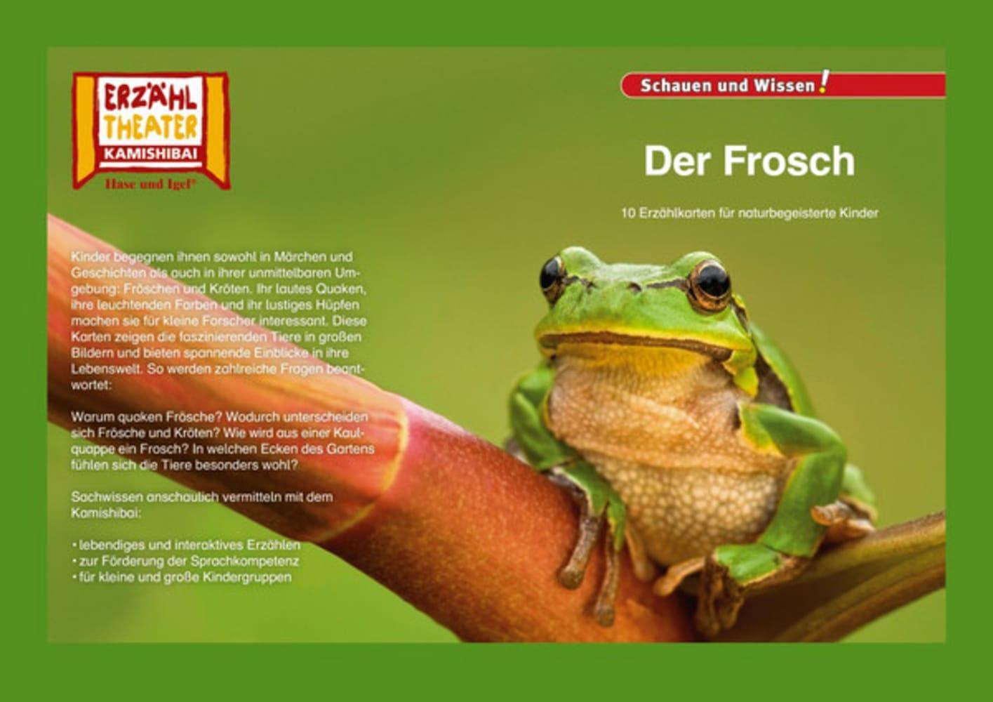 Cover: 4260505830717 | Kamishibai: Der Frosch | 10 Fotobildkarten für das Erzähltheater | Box
