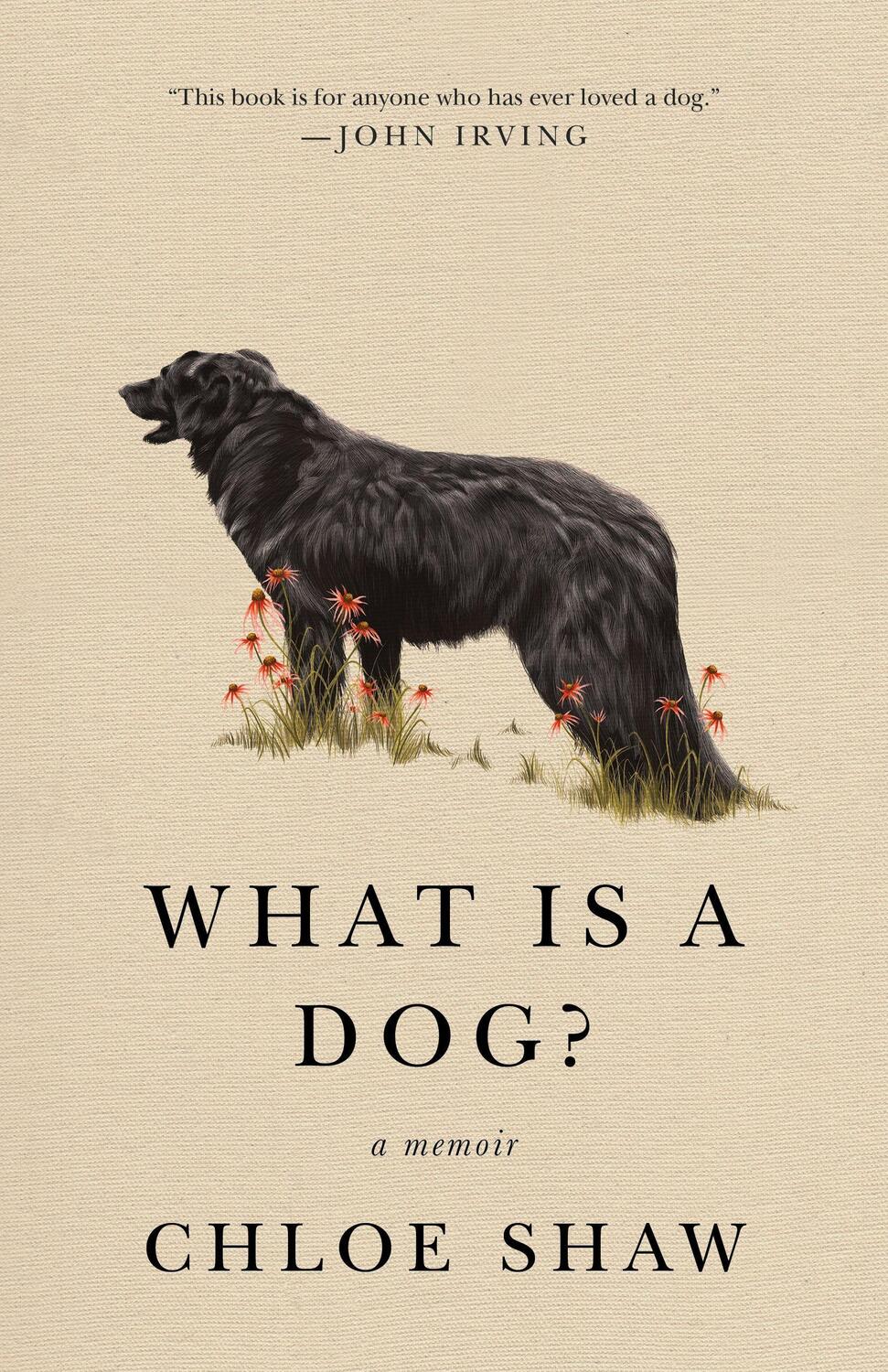 Cover: 9781250785404 | What Is a Dog? | A Memoir | Chloe Shaw | Taschenbuch | Englisch | 2022