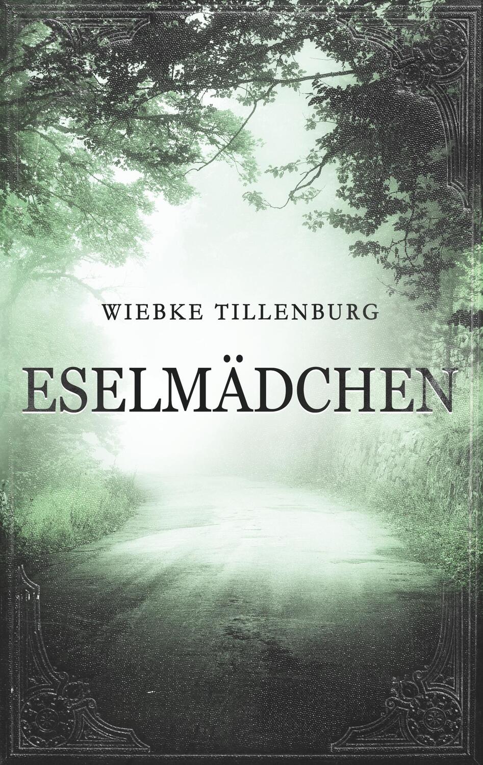 Cover: 9783740743017 | Eselmädchen | Wiebke Tillenburg | Taschenbuch | TWENTYSIX