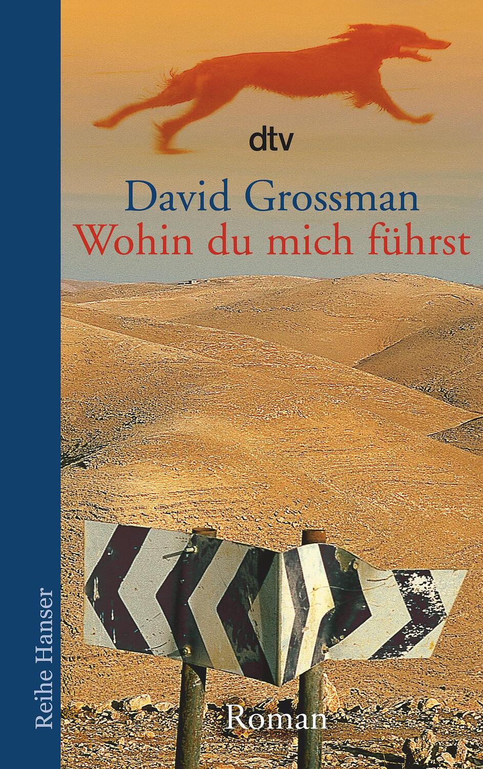 Cover: 9783423621380 | Wohin du mich führst | David Grossman | Taschenbuch | Reihe Hanser