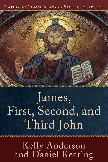 Cover: 9780801049224 | James, First, Second, and Third John | Kelly Anderson (u. a.) | Buch