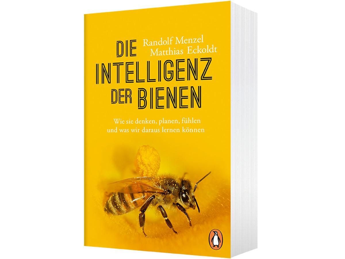 Bild: 9783328104360 | Die Intelligenz der Bienen | Randolf Menzel (u. a.) | Taschenbuch