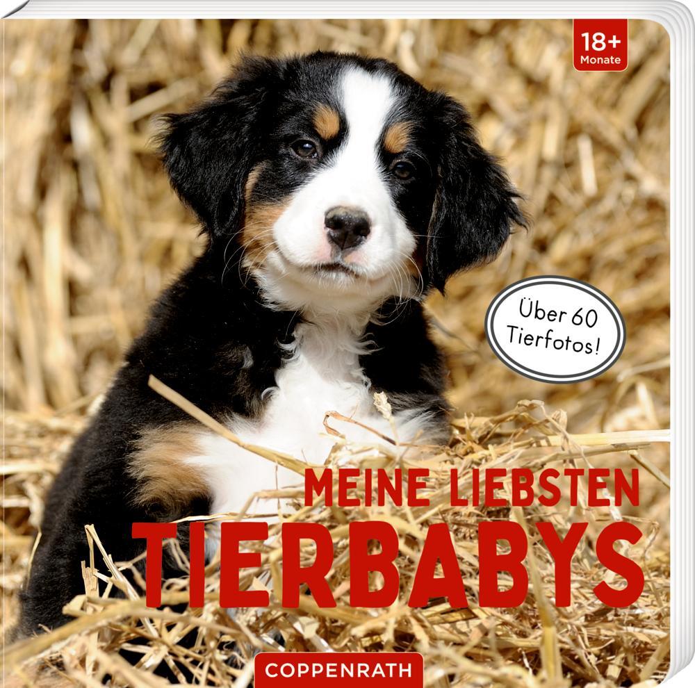 Cover: 9783649641452 | Meine liebsten Tierbabys | Buch | 28 S. | Deutsch | 2022 | Coppenrath