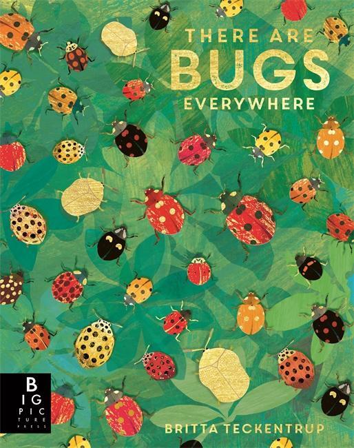 Cover: 9781787418219 | There are Bugs Everywhere | Lily Murray | Taschenbuch | 32 S. | 2022