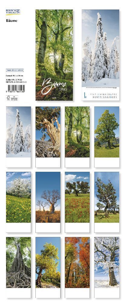 Bild: 9783731868460 | Bäume 2024 | Korsch Verlag | Kalender | Spiralbindung | 14 S. | 2024