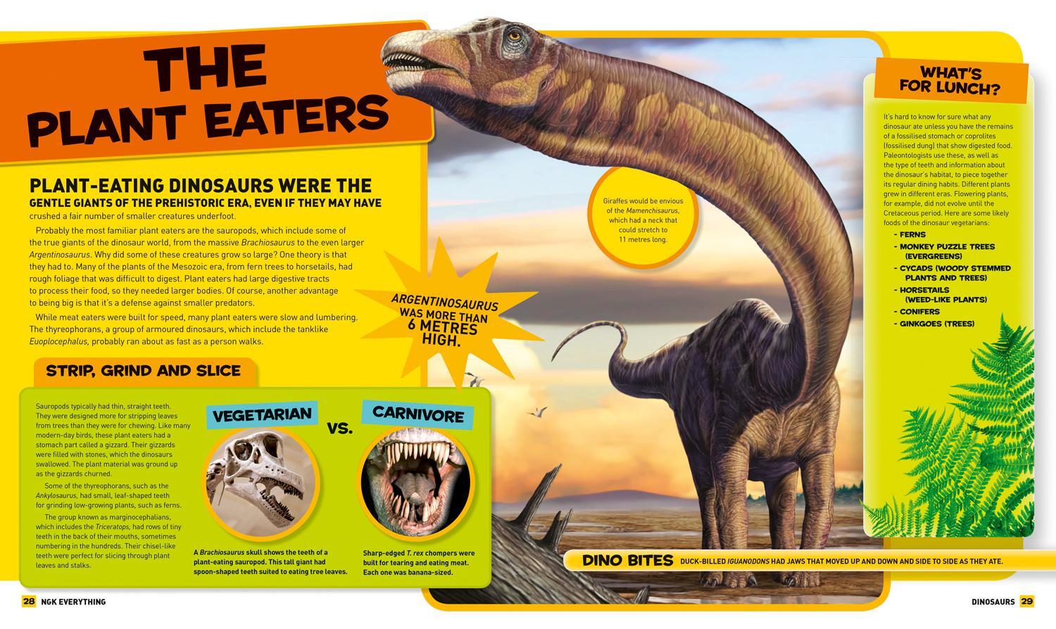 Bild: 9780008267797 | Everything: Dinosaurs | National Geographic Kids | Taschenbuch | 2018