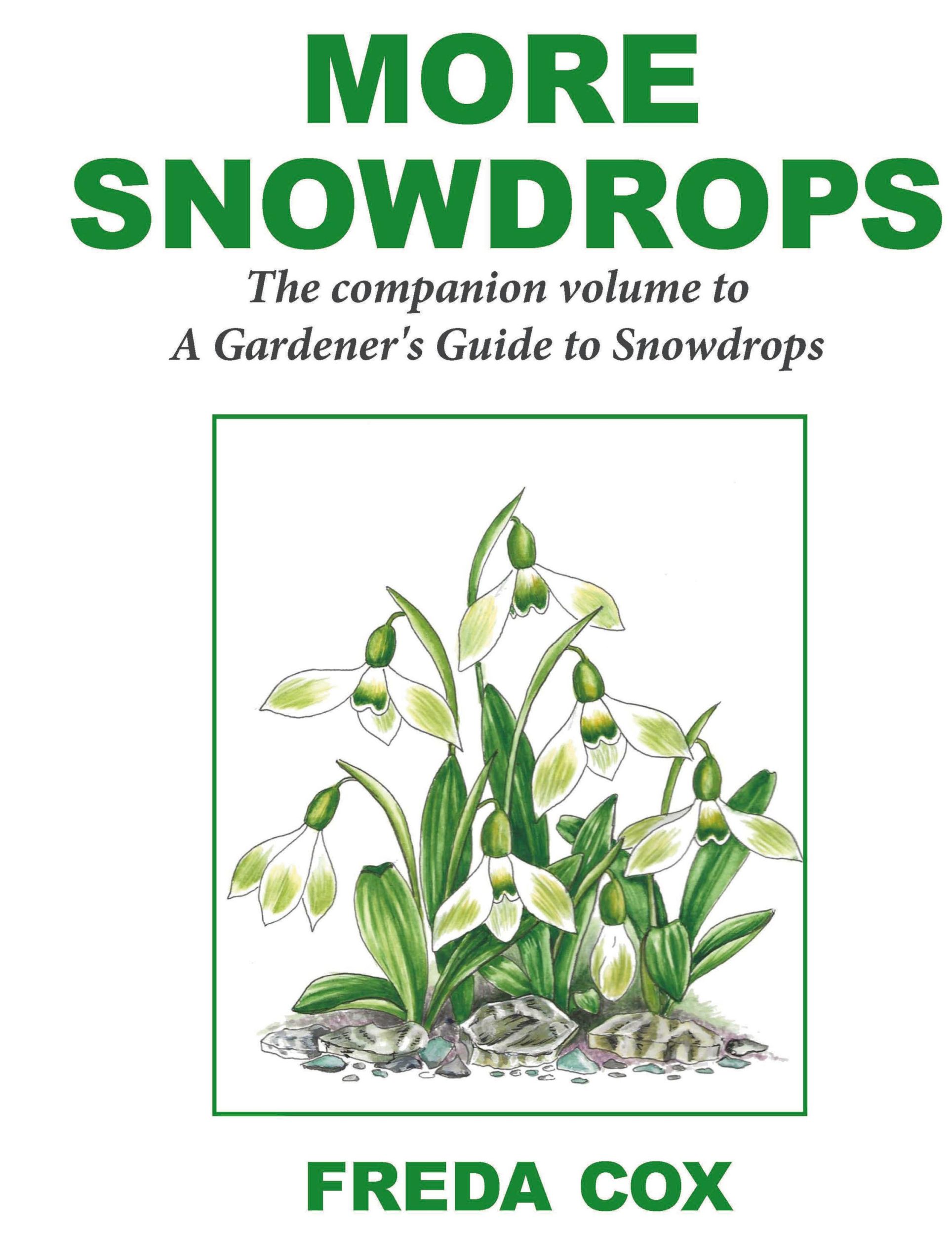 Cover: 9781843966913 | More Snowdrops | Freda Cox | Buch | Englisch | 2023