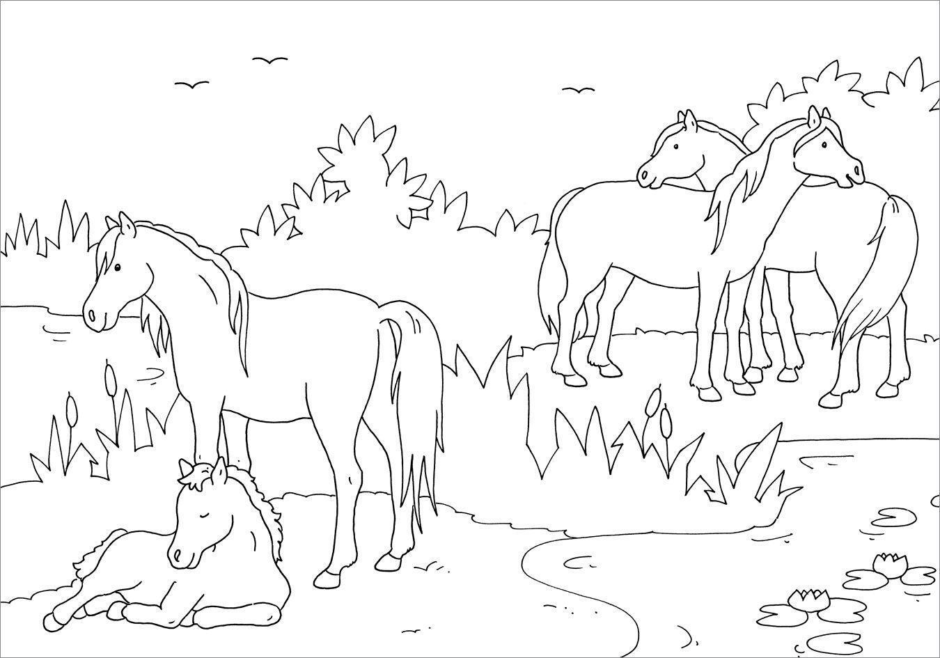 Bild: 9783788641832 | Mein schönstes Malbuch. Pferde und Ponys. Malen für Kinder ab 5 Jahren