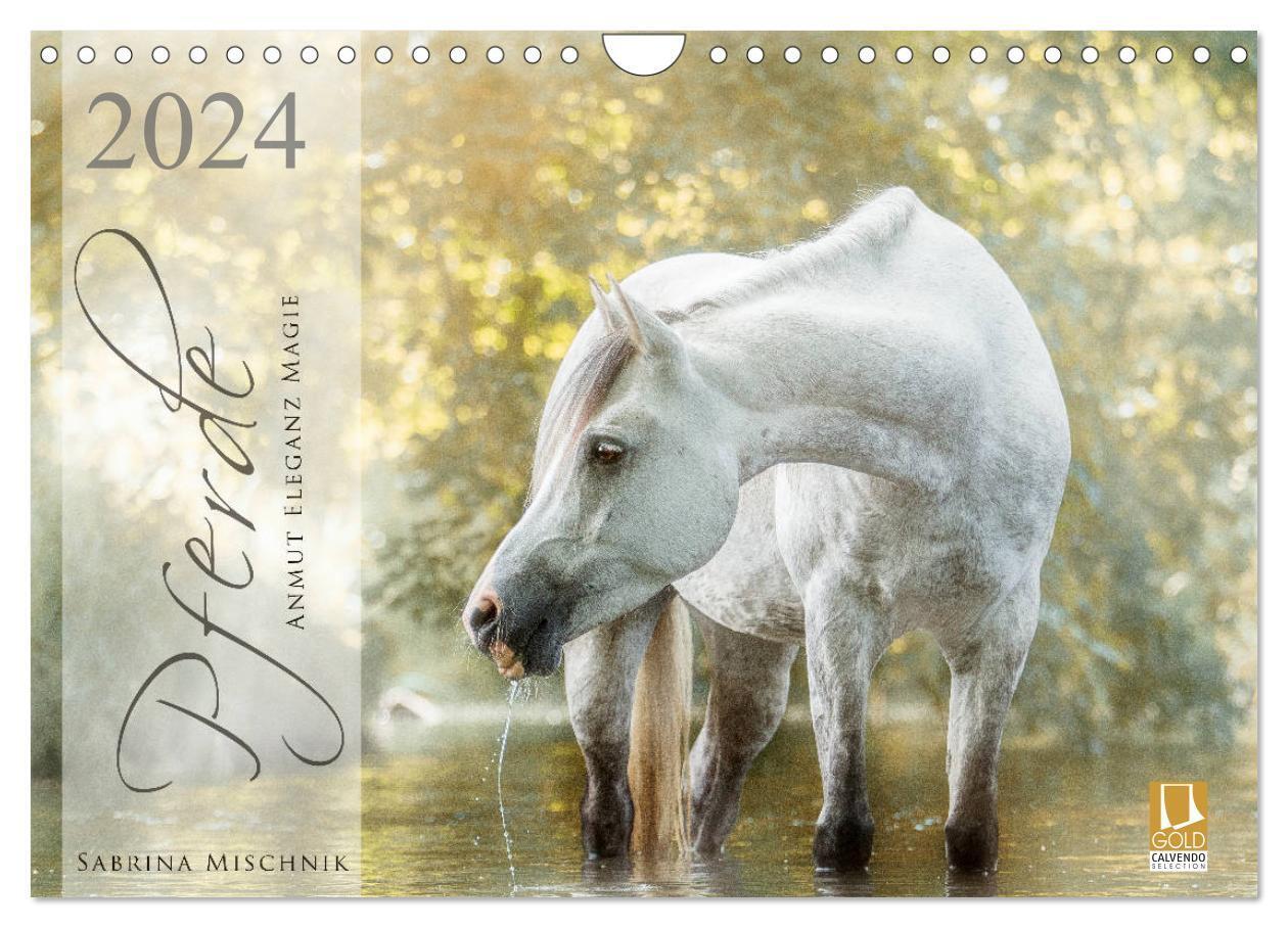 Cover: 9783675691391 | Pferde - Anmut, Eleganz, Magie (Wandkalender 2024 DIN A4 quer),...