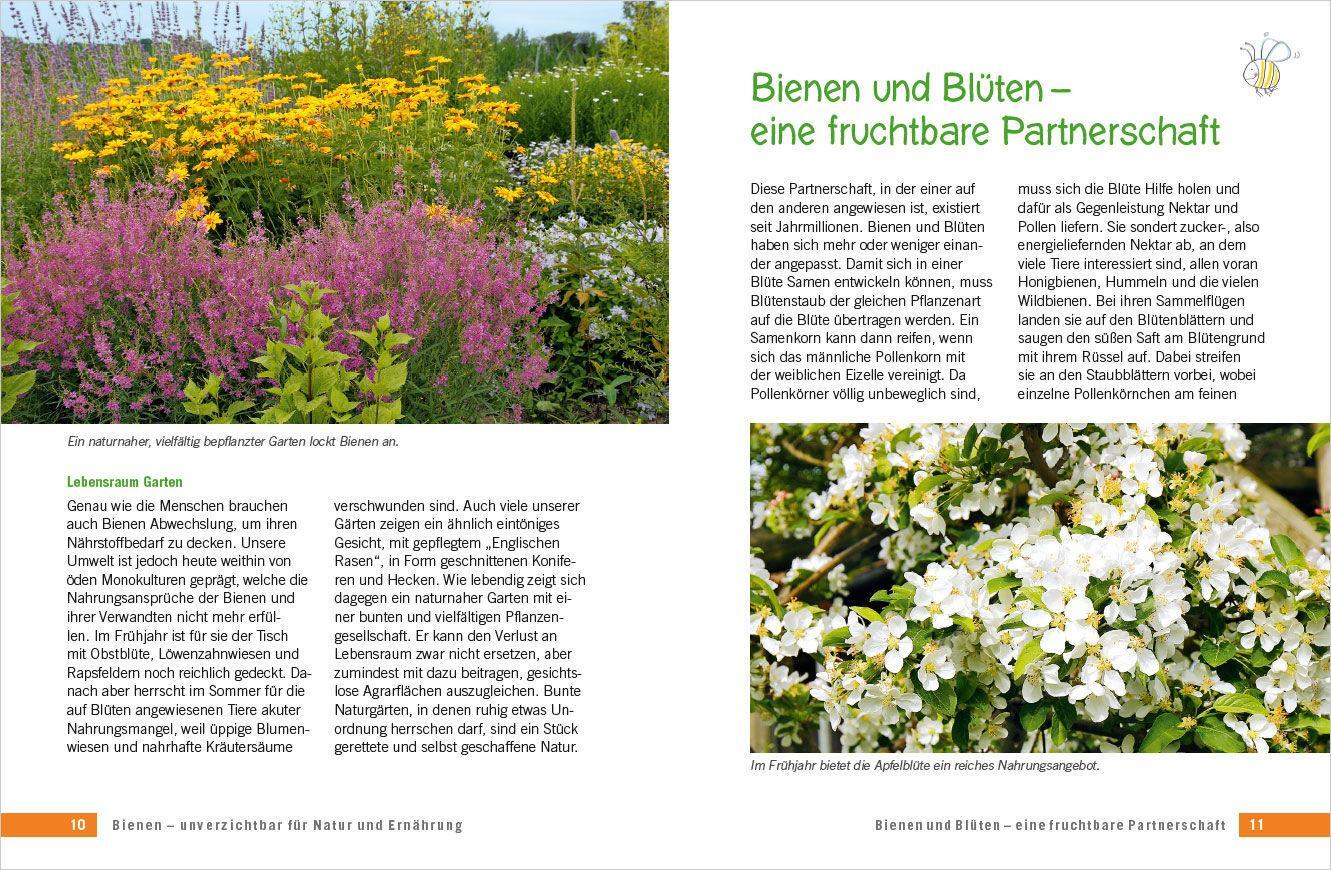 Bild: 9783809447603 | Die schönsten Pflanzen für Bienen und Hummeln. Für Garten, Balkon &amp;...